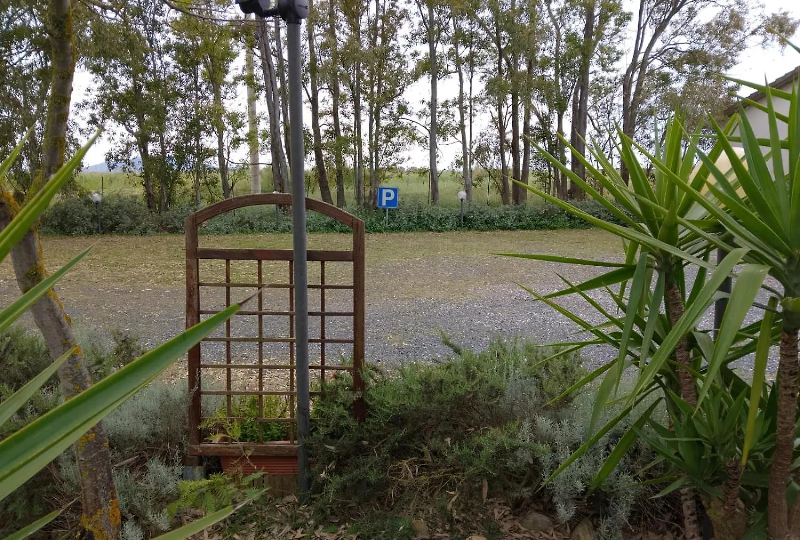 Appartamento Agriturismo I Gelsi Marina Di Grosseto Italia
